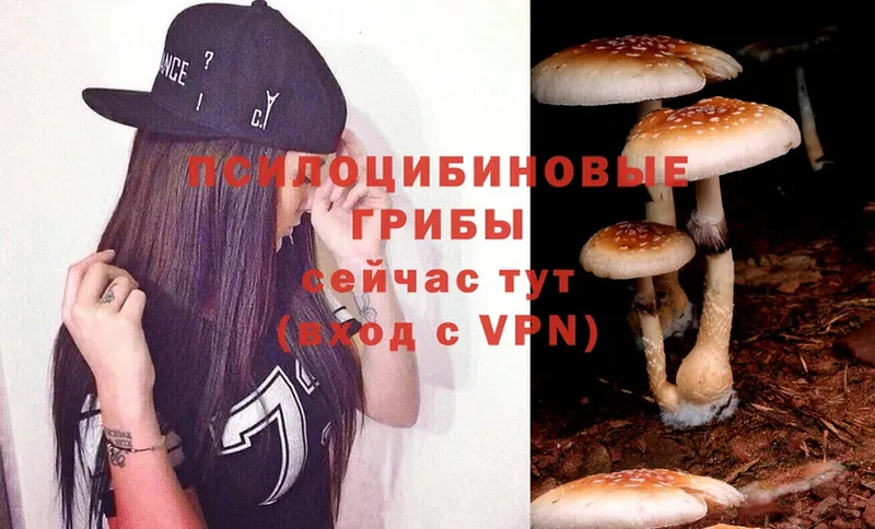 Псилоцибиновые грибы MAGIC MUSHROOMS  магазин продажи наркотиков  Ковдор 