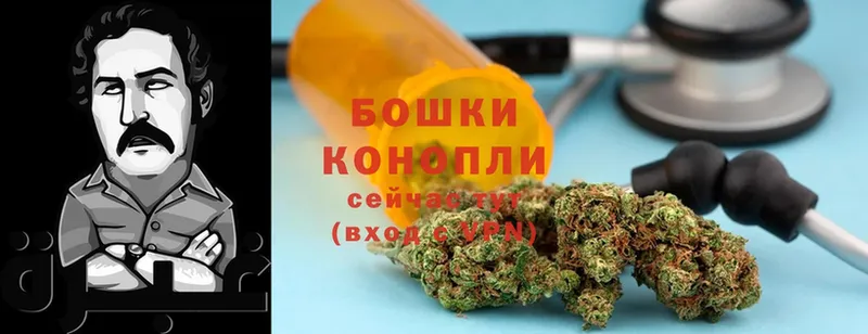 Бошки марихуана Bruce Banner  купить наркоту  Ковдор 